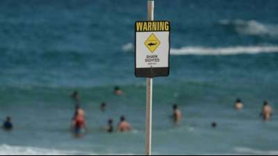 Mann nach mutma&szlig;lichem Hai-Angriff in Australien vermisst
