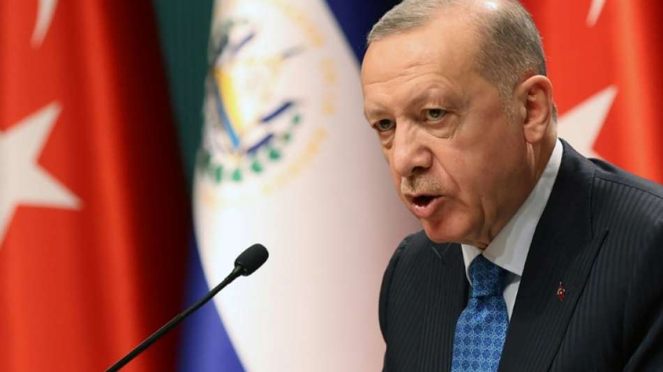 T&uuml;rkei: Haft f&uuml;r TV-Journalistin wegen "Pr&auml;sidentenbeleidigung"