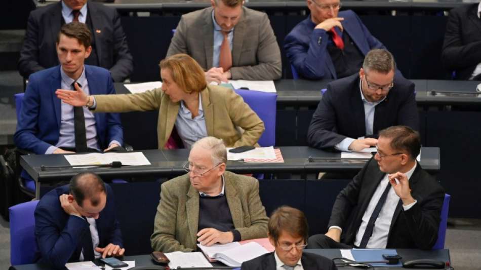 AfD klagt auf Besetzung von Ausschussposten im Bundestag