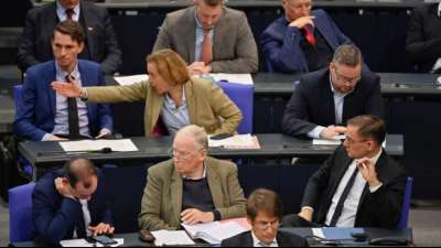 AfD klagt auf Besetzung von Ausschussposten im Bundestag