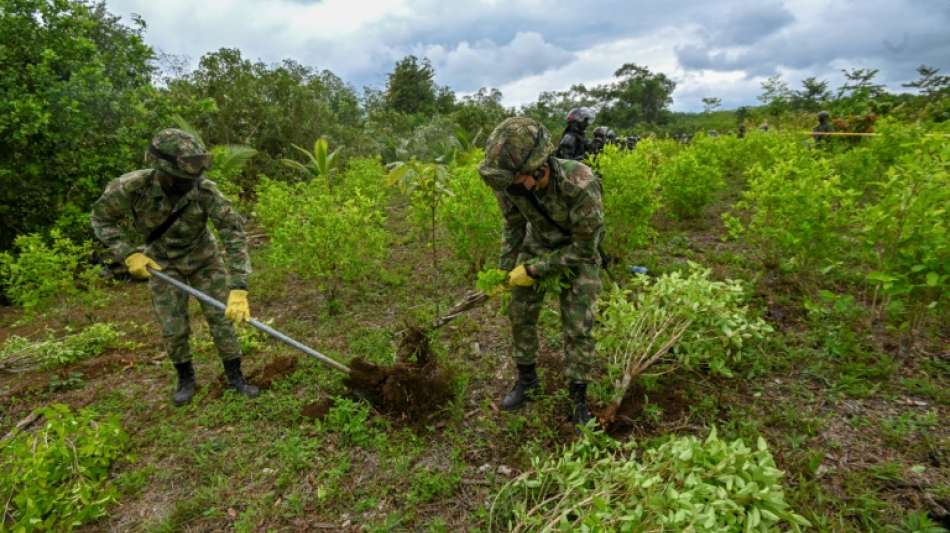 Koka-Bauern in Kolumbien nehmen 180 Soldaten als Geiseln