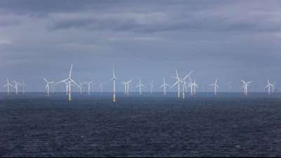 Bundesbeh&ouml;rde plant mehr Fl&auml;chen f&uuml;r Windenergie auf See