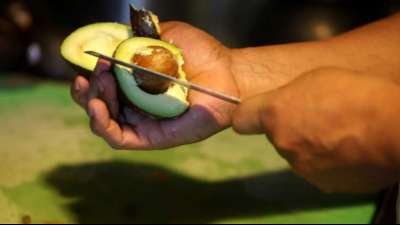 USA nehmen nach Drohanruf gestoppte Avocado-Importe aus Mexiko wieder auf