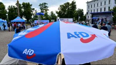 AfD-Bundestagsfraktion verliert m&ouml;glicherweise erstes Mitglied