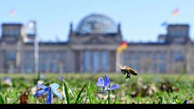 Verfassungsgericht l&auml;sst DKP zur Bundestagswahl zu