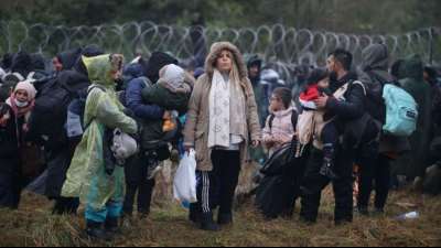 Experten fordern L&ouml;sung f&uuml;r Fl&uuml;chtlingsstreit mit Belarus