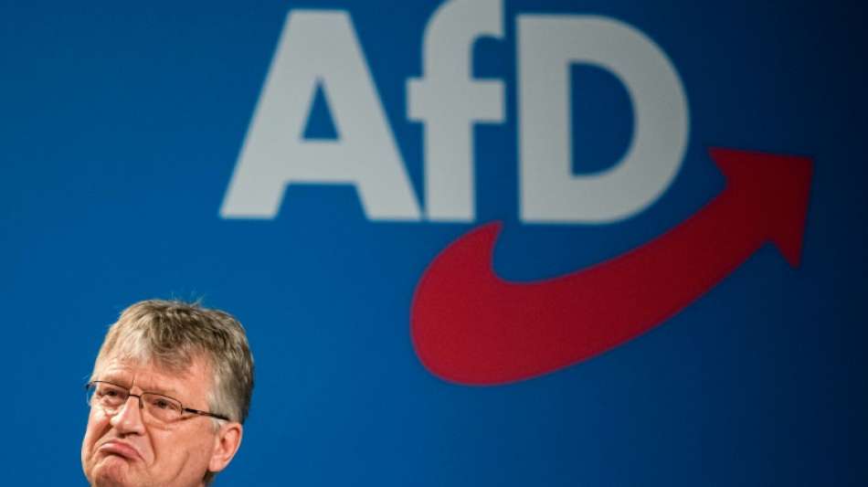 Meuthen verl&auml;sst auch Rechtspopulisten-Fraktion im Europaparlament
