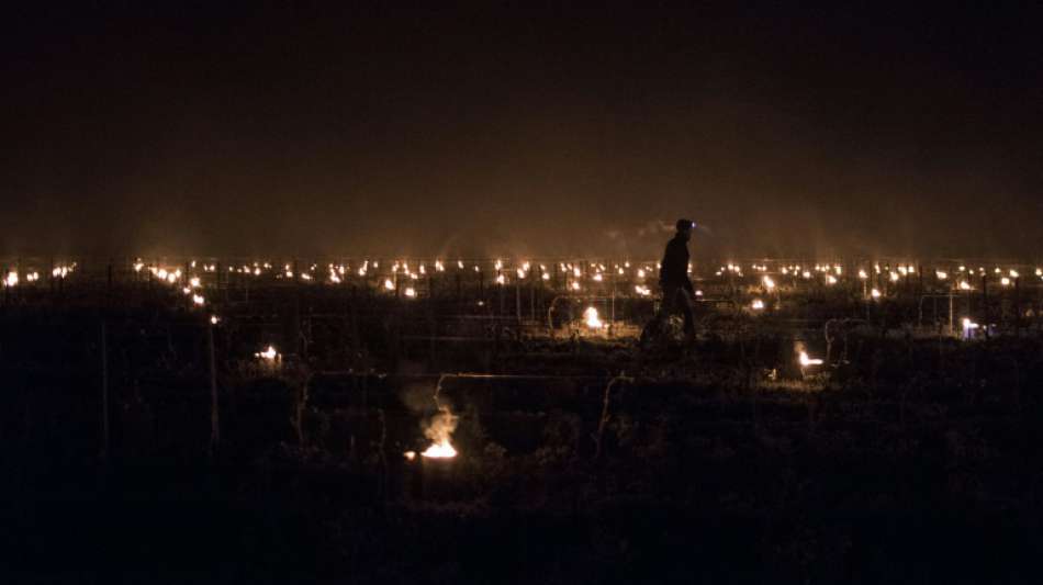 K&auml;ltewelle im Fr&uuml;hjahr f&uuml;hrt zu Einbruch von Frankreichs Weinproduktion
