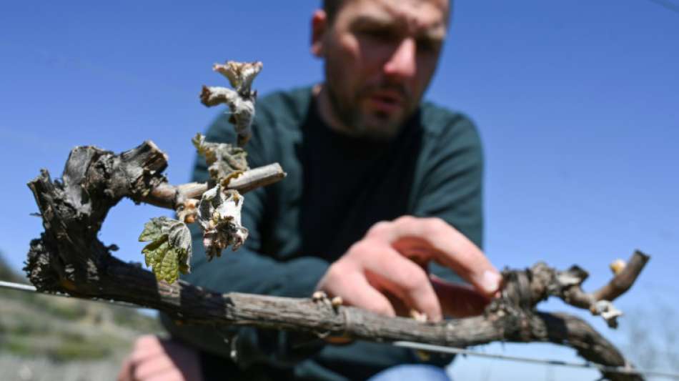Mit Feuern gegen den Frost im Fr&uuml;hling