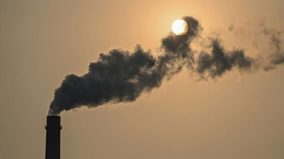 Bundesregierung kritisiert Chinas Klimaschutzzusagen als "entt&auml;uschend"
