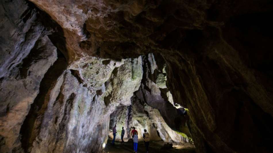 Erbgut-Analyse liefert neue Einblicke in Leben der fr&uuml;hesten Europ&auml;er