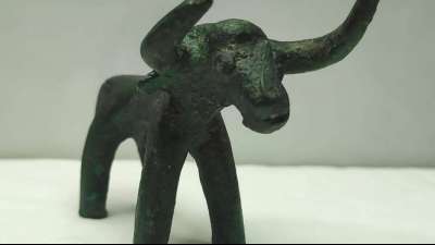 Am Horn aus dem Matsch gezogen