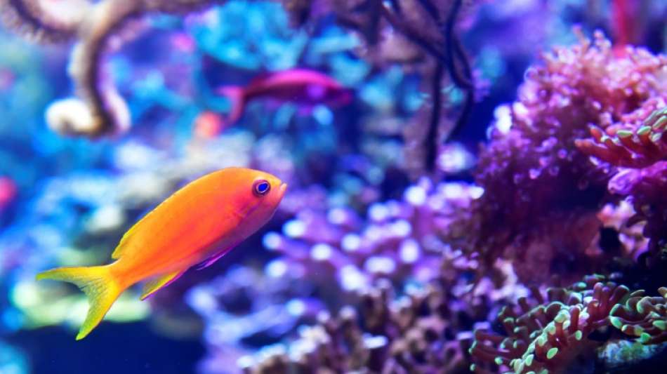 Merkel fordert Trendwende f&uuml;r Schutz der biologischen Vielfalt