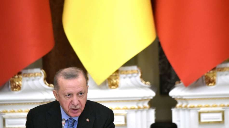 Erdogan kritisiert Nato-Partner f&uuml;r Vorgehen in Ukraine-Krise