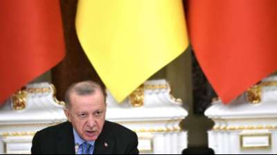 Erdogan kritisiert Nato-Partner f&uuml;r Vorgehen in Ukraine-Krise