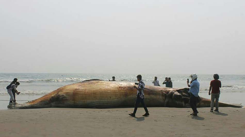 Zwei tote Wale an K&uuml;ste Bangladeschs angesp&uuml;lt