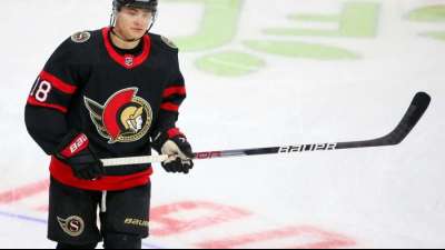 St&uuml;tzle und Sturm siegen in der NHL