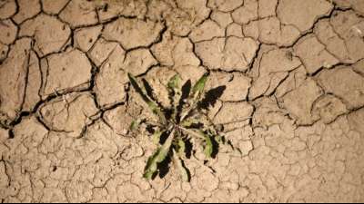 Umweltbundesamt mahnt bei Klimaanpassung zur Eile