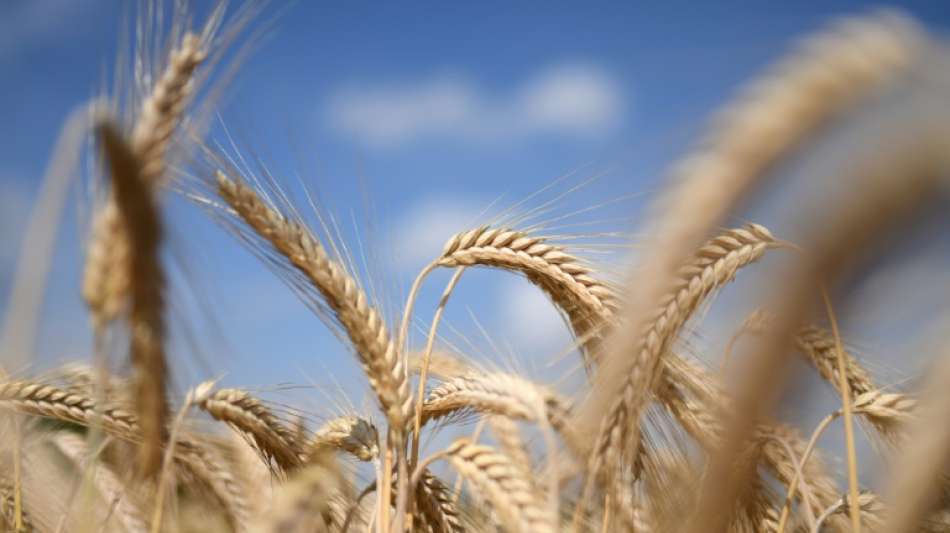 Einigung auf EU-Agrarreform "n&auml;her als je zuvor"