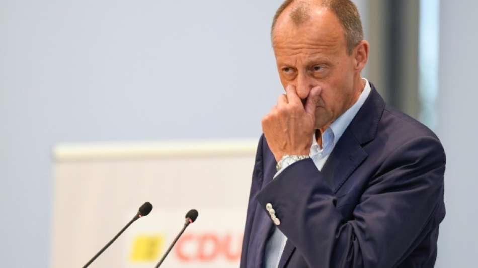 Merz kritisiert Anzahl von Berufspolitikern im Bundestag