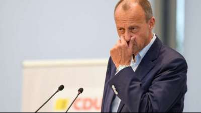 Merz kritisiert Anzahl von Berufspolitikern im Bundestag