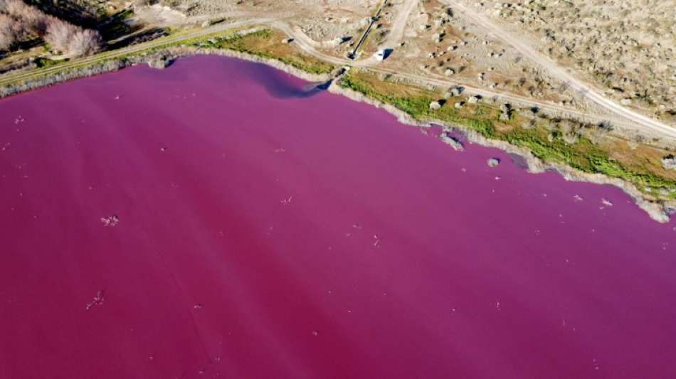 Umwelt: Industriechemikalien f&auml;rben Lagune in Argentinien pink 