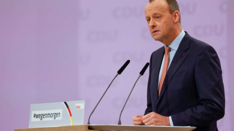 CDU-Politiker Friedrich Merz fordert kleinere Bundesregierung