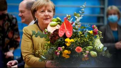 Kabinett schenkt Gartenliebhaberin Merkel zum Abschied einen Strauch