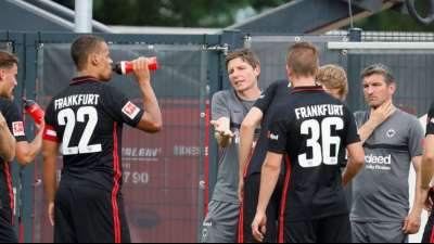 Frankfurt blamiert sich - BVB dank Torgarant Haaland souver&auml;n