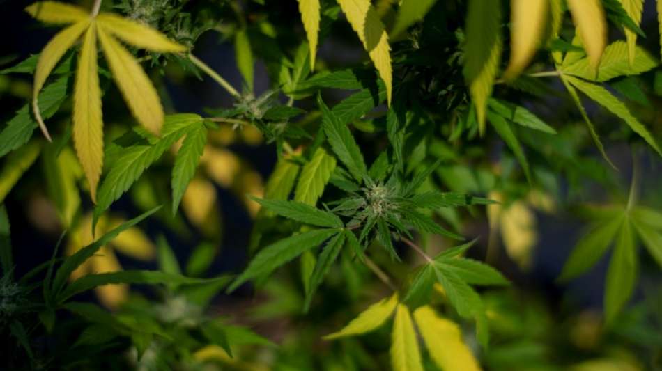 NRW-Ministerpr&auml;sident W&uuml;st r&uuml;gt eine Cannabis-Legalisierung