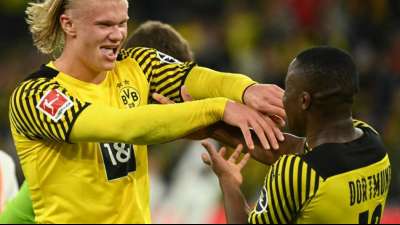 "BACK. ON. TRACK.": Der Haaland-Hype geht weiter 