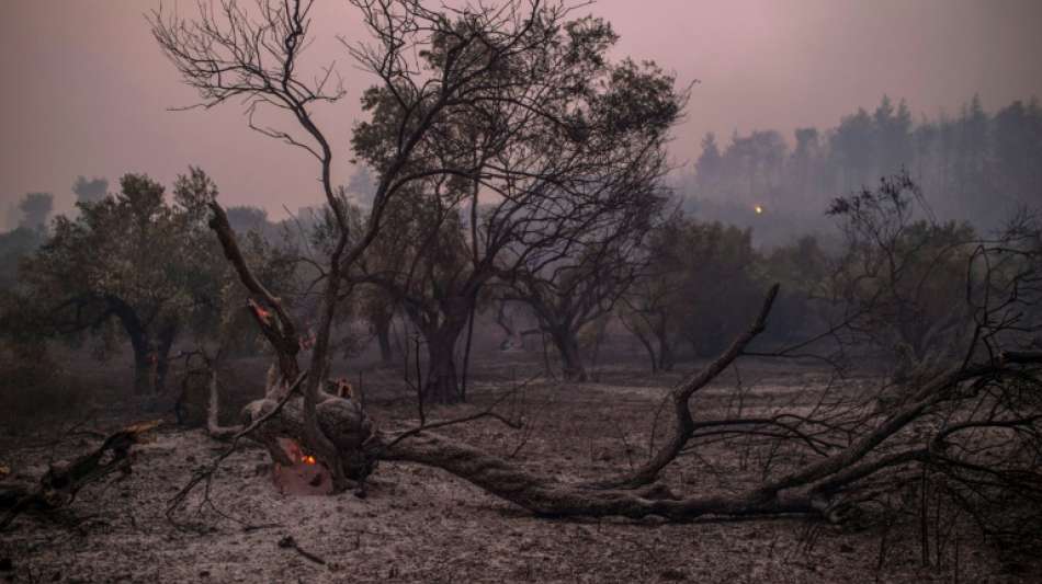 Kleinstadt Istiea auf griechischer Insel Eub&ouml;a von Waldbrand bedroht