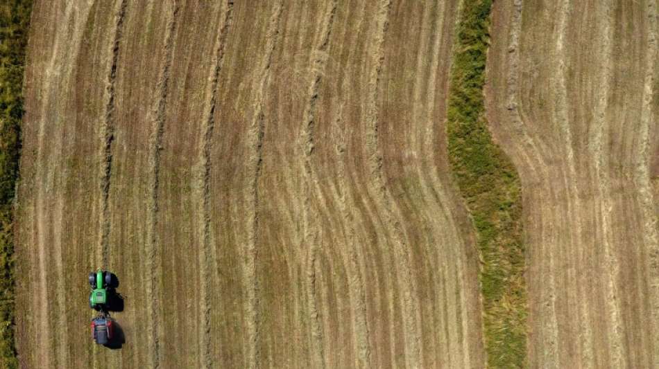 Weltern&auml;hrungsorganisation bef&uuml;rchtet massiv steigende Nahrungsmittelpreise