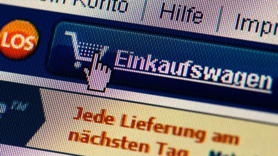 Internet: Shoppen im Netz (online) wird immer mehr beliebt
