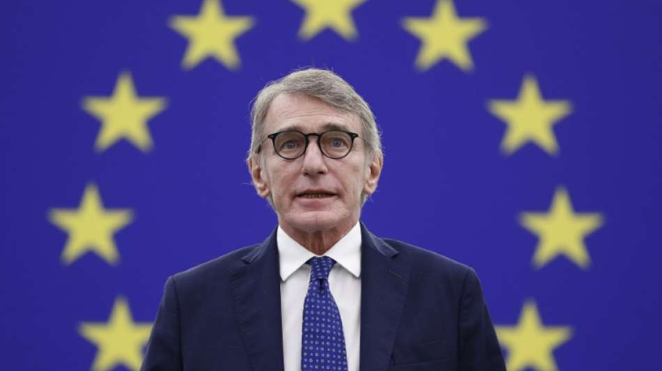 Kampf um Posten des EU-Parlamentspr&auml;sidenten ist er&ouml;ffnet