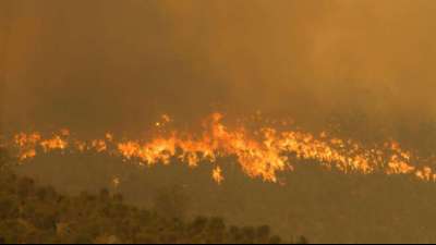 Mehr als 70 H&auml;user nahe Perth durch Waldbrand zerst&ouml;rt 