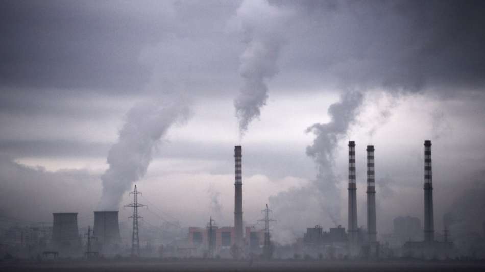 Beirat der Bundesregierung r&auml;t zu Langfriststrategie zum Stopp der CO2-Emissionen
