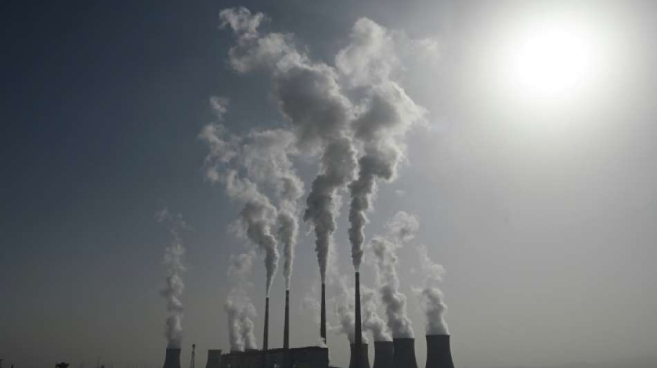 Studie: Chinas CO2-Emissionen sinken erstmals seit Pandemiebeginn