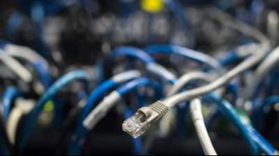 Umfrage: Mittelst&auml;ndische Unternehmen st&auml;rker von Cyberattacken betroffen