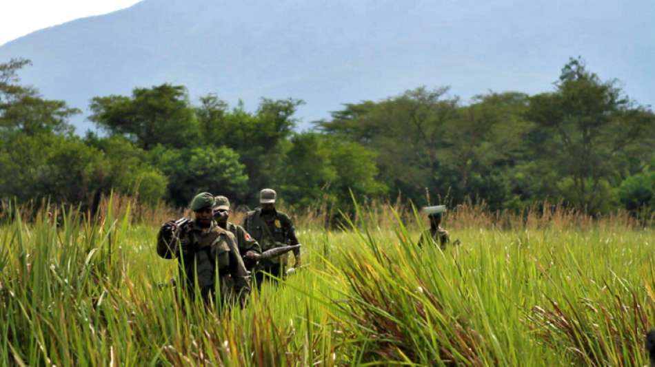 Sechs Nationalpark-Ranger in Demokratischer Republik Kongo get&ouml;tet
