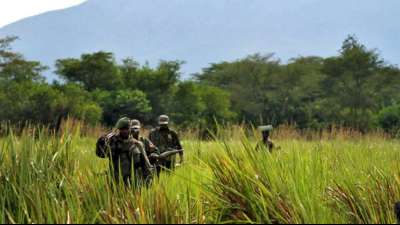 Sechs Nationalpark-Ranger in Demokratischer Republik Kongo get&ouml;tet