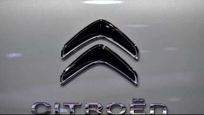 Citro&euml;n zieht nach heftiger Kritik Werbespot in &Auml;gypten zur&uuml;ck