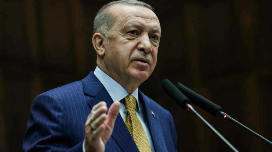Erdogan bekommt R&uuml;ckhalt f&uuml;r seine Pl&auml;ne f&uuml;r neue Verfassung von Ultrarechten