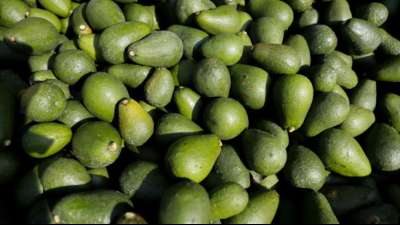 Superfood oftmals weniger super als angenommen