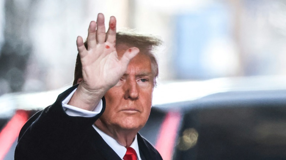 "Donald Trump a d&eacute;truit ma r&eacute;putation", accuse une autrice lors d'un proc&egrave;s &agrave; New York