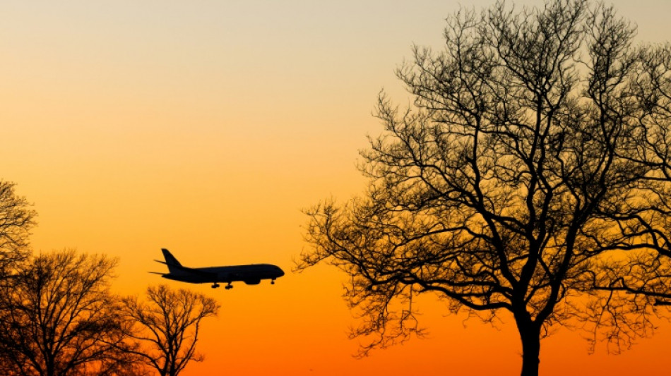 EEUU sanciona a un ejecutivo de una aerol&iacute;nea que facilita la migraci&oacute;n irregular