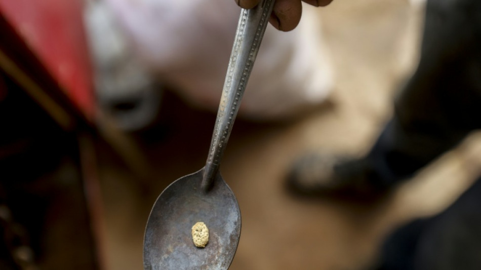 Venezuela: apr&egrave;s le p&eacute;trole, l'industrie mini&egrave;re s'ouvre &agrave; son tour au priv&eacute;