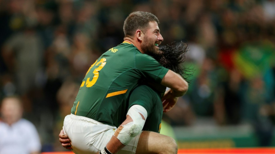Springbok full-back Le Roux joins Bulls  