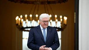 Steinmeier will Wehrhaftigkeit der Demokratie st&auml;rken