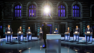 Andrej Babis et Petr Pavel s'affronteront au 2e tour de la pr&eacute;sidentielle tch&egrave;que